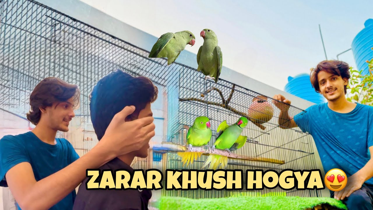 Zarrar Ko Bohat sary new pets Ka Surprise Dediya😍😍