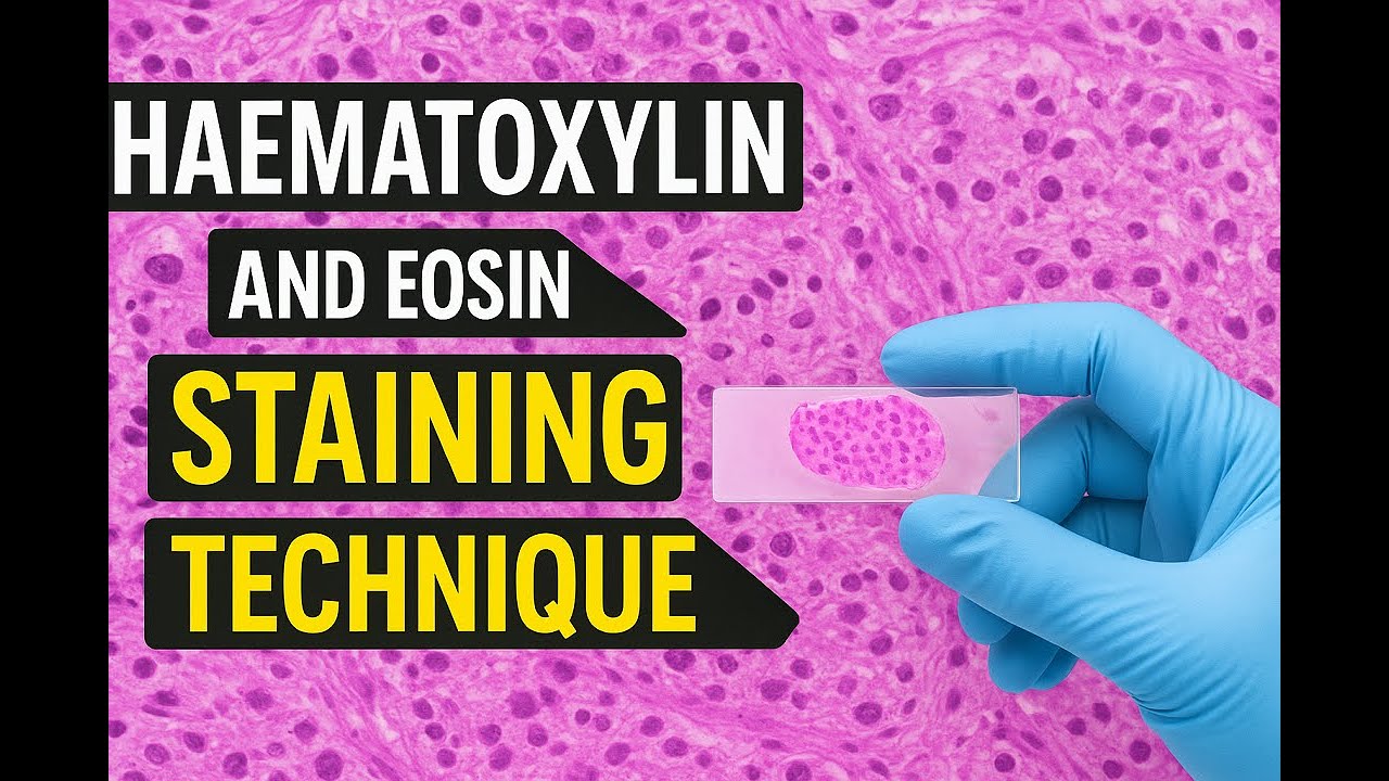 Haematoxylin and Eosin Staining Technique