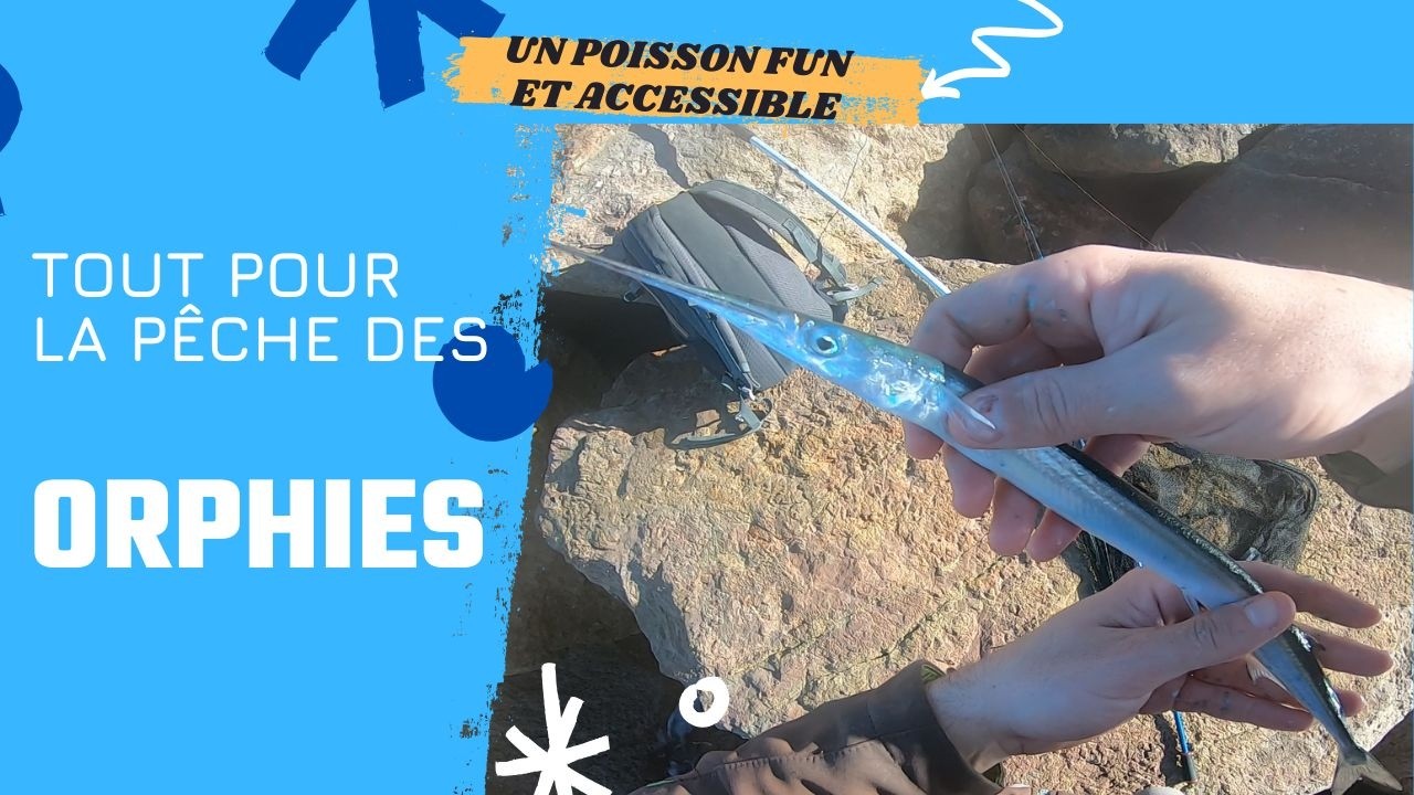 TOUT POUR LA PÊCHE DES ORPHIES