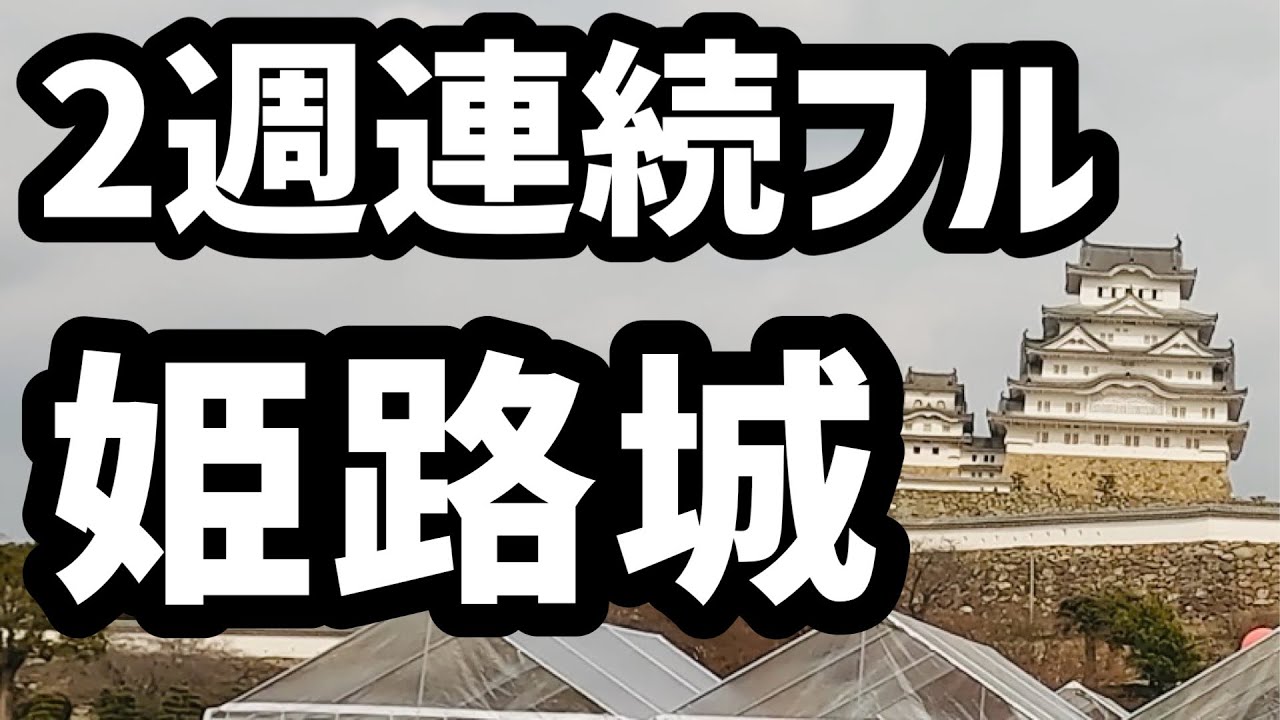 【姫路城マラソン2024】別府に続いて2週連続でサブ3を狙ってみた結果