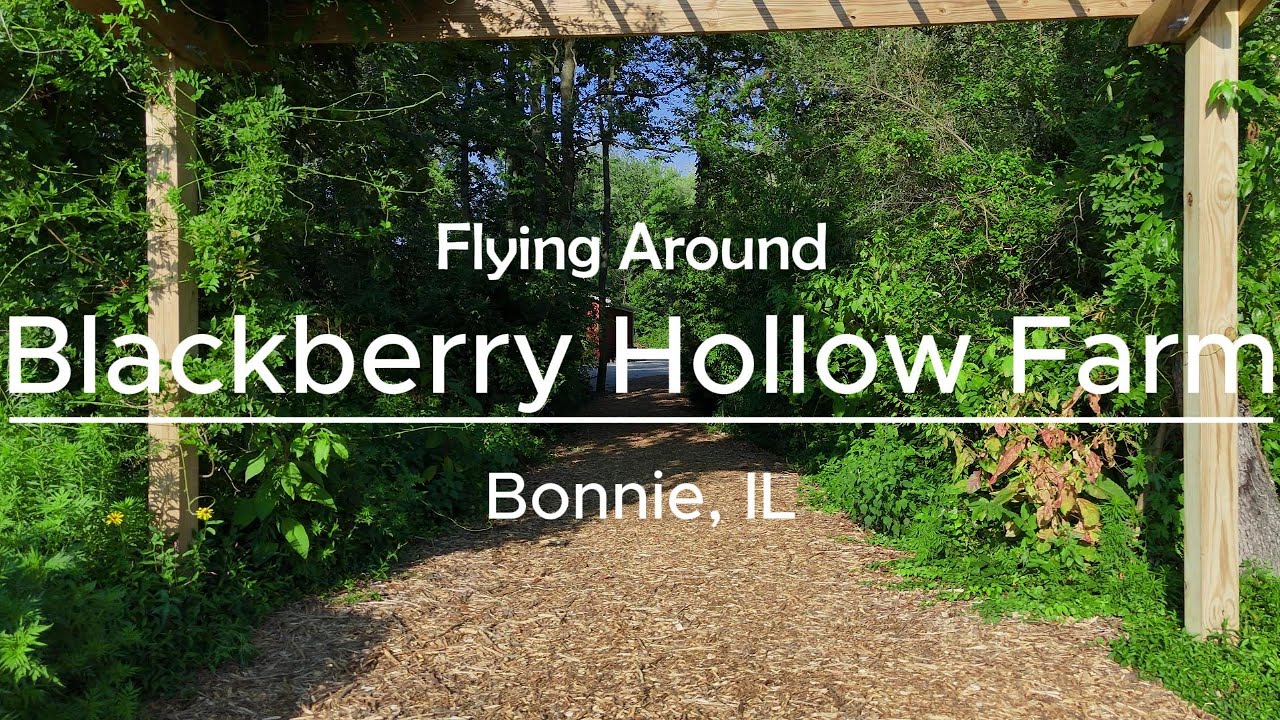 Blackberry Hollow Farm Bonnie IL 4k Fly around