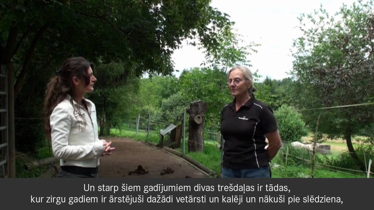 Academia Liberti visiting Dr. Hiltrud Strasser at her Hufklinik (latvian version)