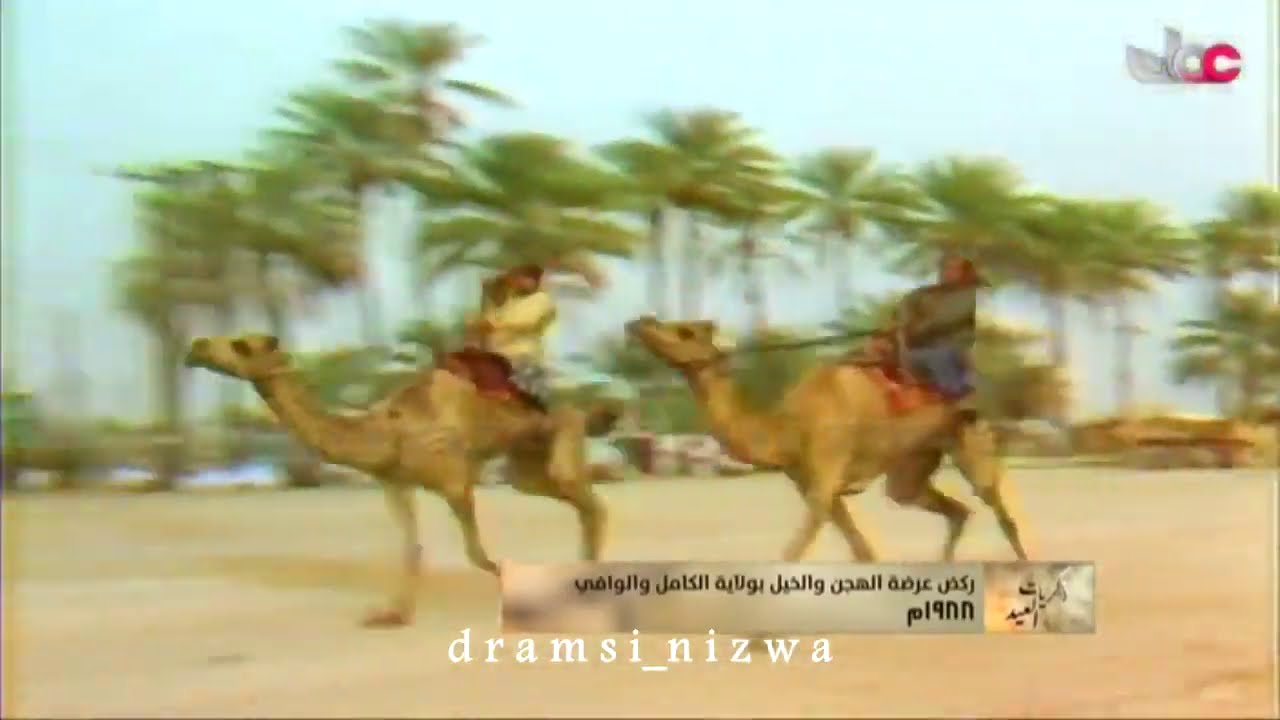 ذكريات العيد   ركض عرضة الهجن و الخيل بولاية الكامل و الوافي 1988م