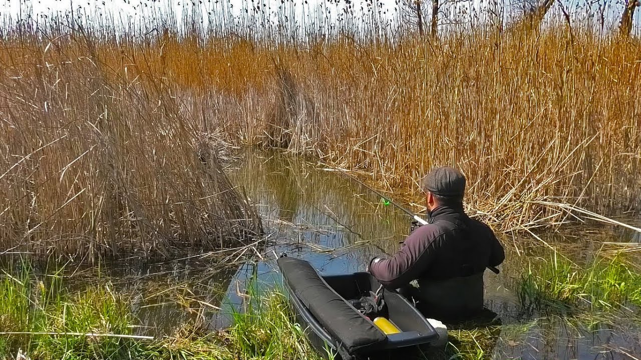 Рыбалка на КРУПНОГО КАРАСЯ в сухом Камыше на Поплавок или Кивок. Сказочная ловля и душевный отдых