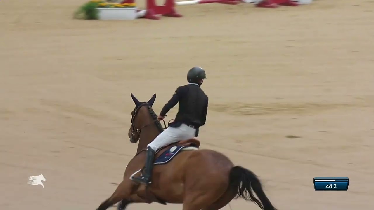 Delirium Zoetendaele Z - Doha Tour - CSI 3* 1.50m