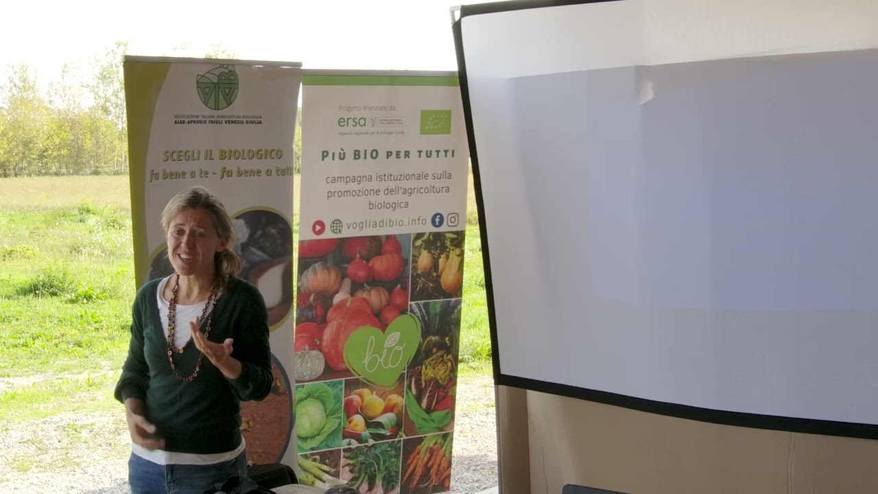 Cosa produrre, dove e come vendere gli ortaggi bio per far quadrare il bilancio.