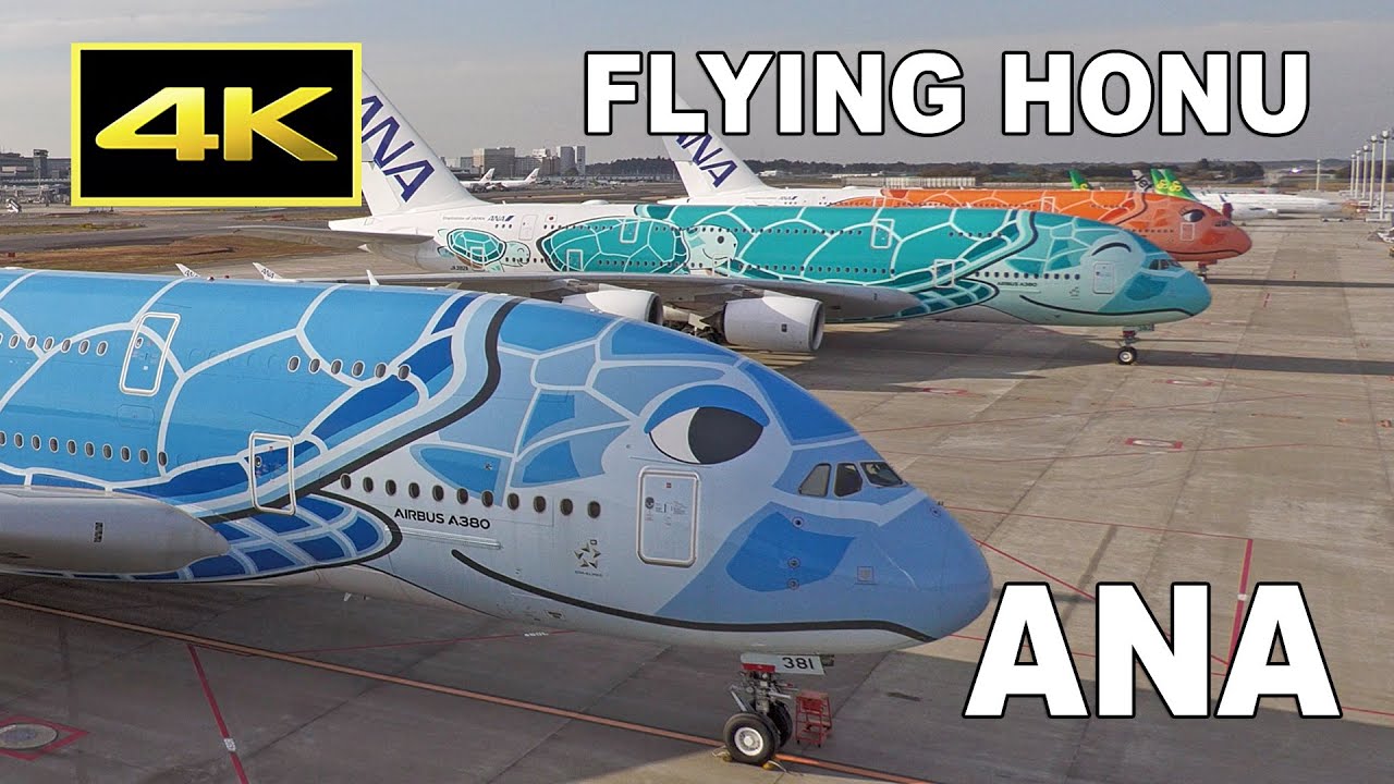 [4K] ANA Airbus A380 