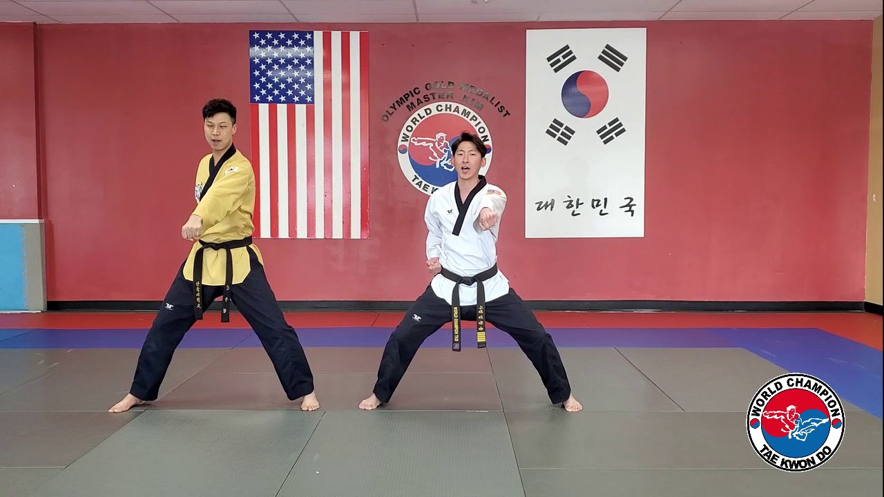 World   Champion Taekwondo Master Challenge