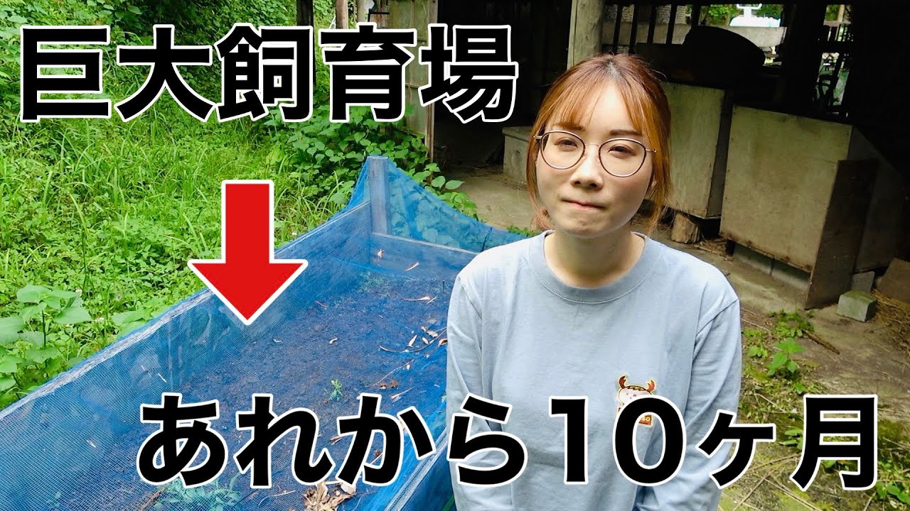 自宅に作った巨大カブトムシ圃場を全て掘り返してみたら意外な結果に