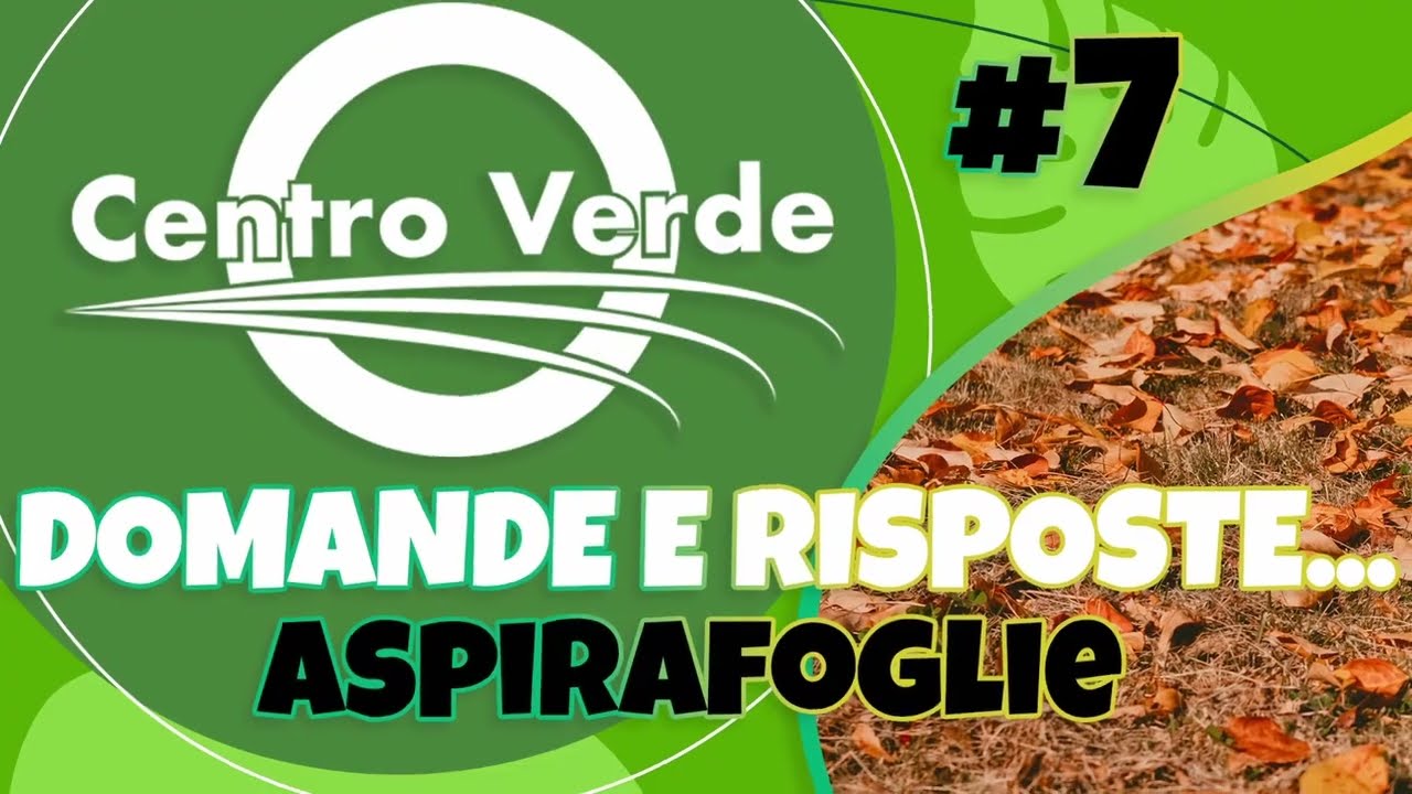 Le domande più frequenti sugli Aspirafoglie