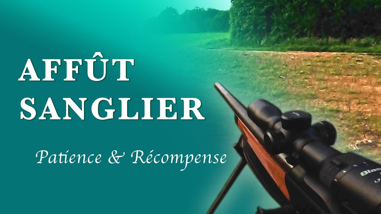 🐗 AFFÛT SANGLIER 2025– Une sortie couronnée de succès ! 🐗🎯#chasse 2025 #chasseausanglier #hunting