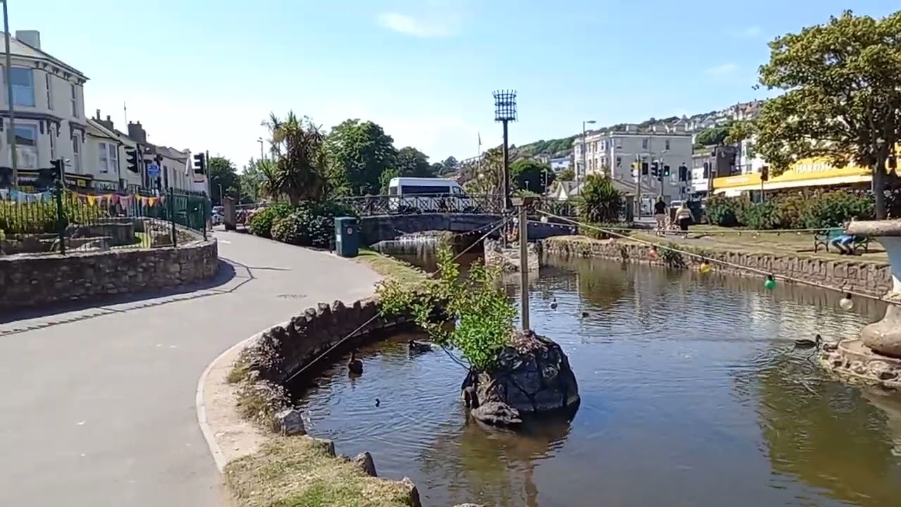 Black swans in the delightful pretty town of Dawlish !!