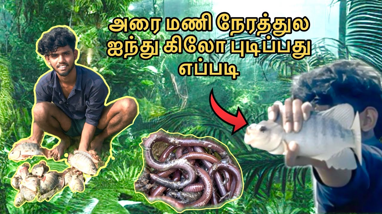 🐟🐠ஜிலேபி மீன் பிடிப்பது எப்படி வாங்க பார்க்கலாம் 🎣💦🐟#fish #paramakkudi #vedio#like #instagram #bike