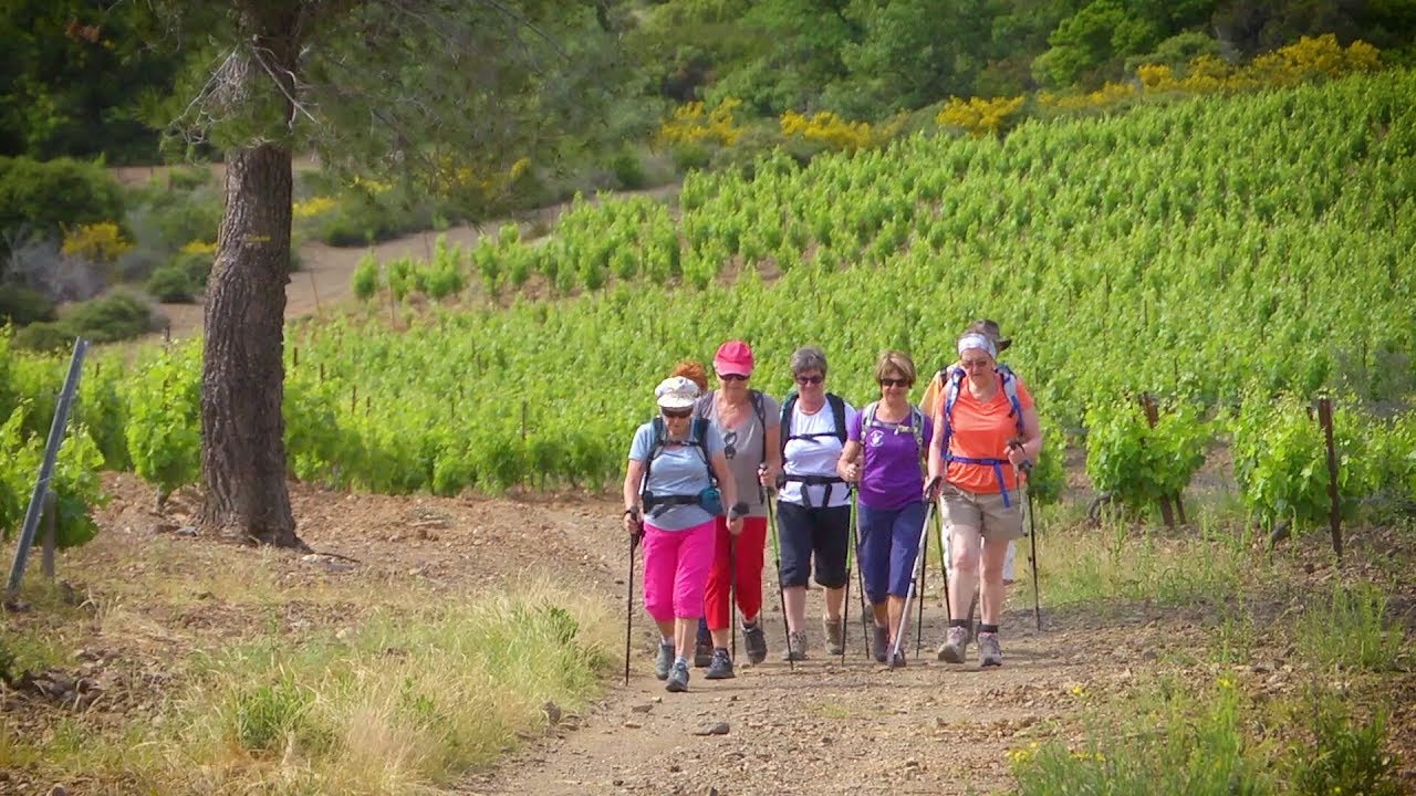 Oenorando dans l'Hérault - À la découverte des vignobles de Cabrières