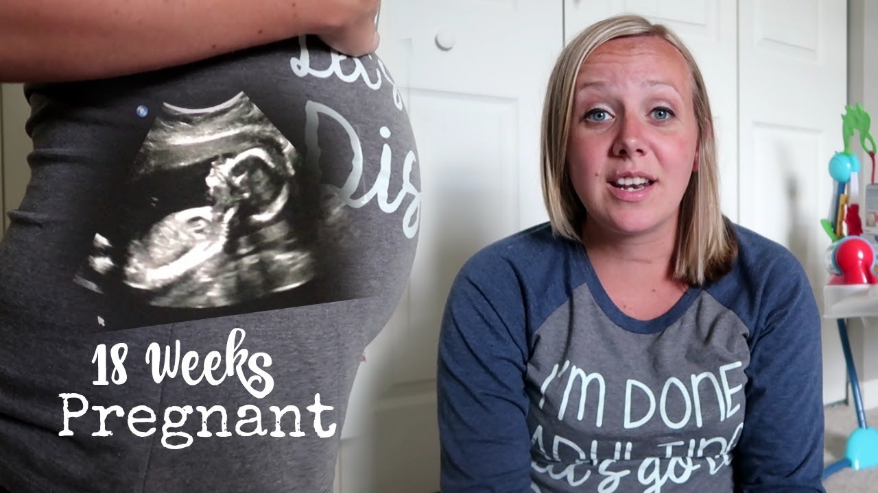 18 Weeks Pregnant, Anatomy Scan, Ultrasound And Update!