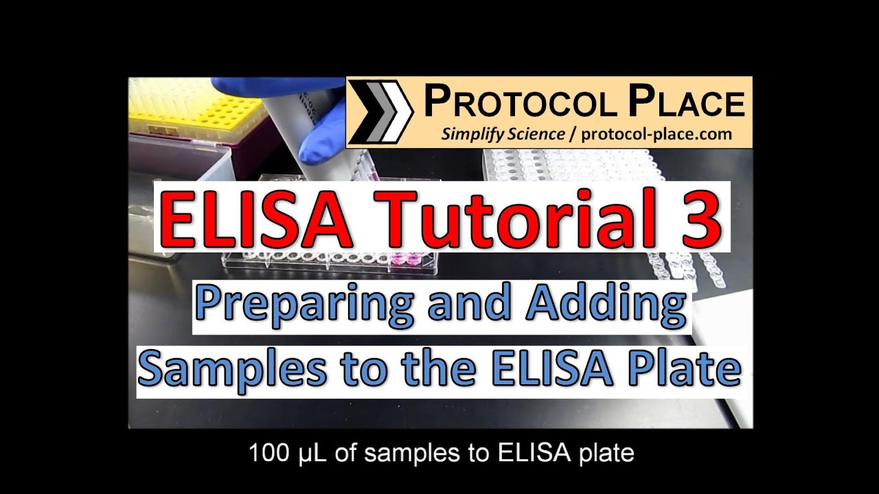 ELISA Tutorial 3: Preparing and Adding Samples to the ELISA Plate