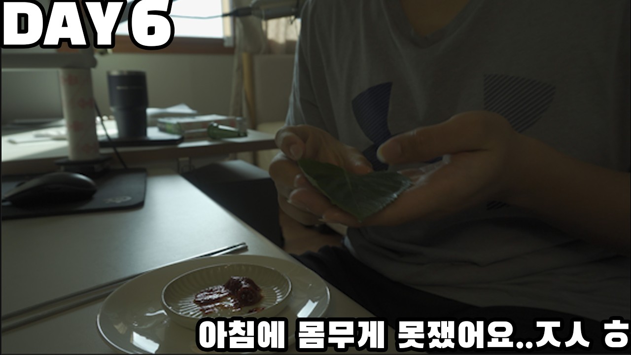 다이어트 vlogㅣ학원 가기전에 잠깐 ㅣ Before I go to the academy