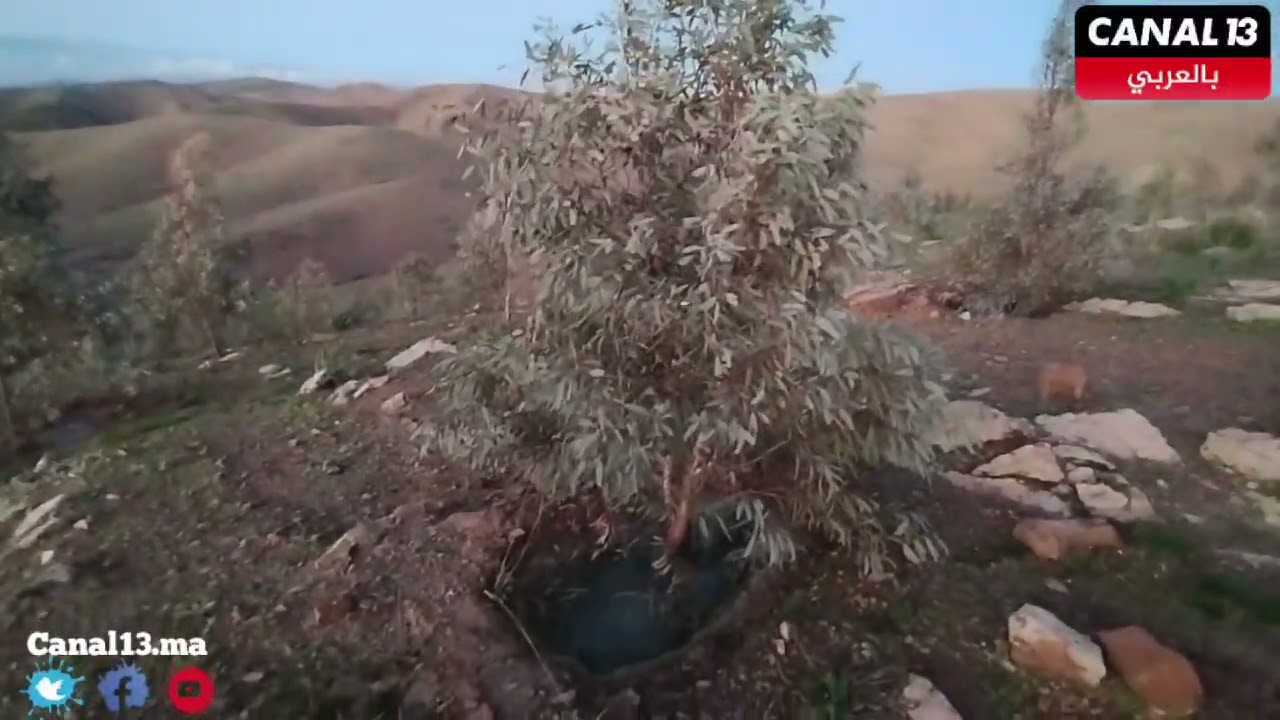 من قلب جماعة ولاد عيسى