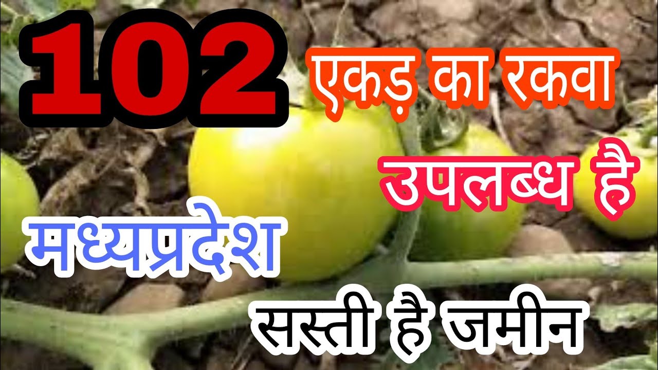 102 Acre Agriculture Land Madhya Pradesh / 102 एकड़ खेती की जमीन /