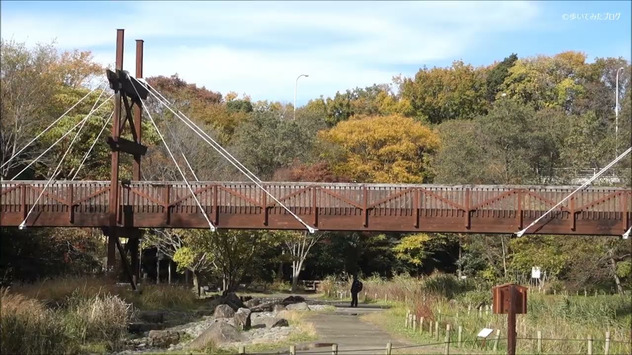【Full HD】泉の森の紅葉