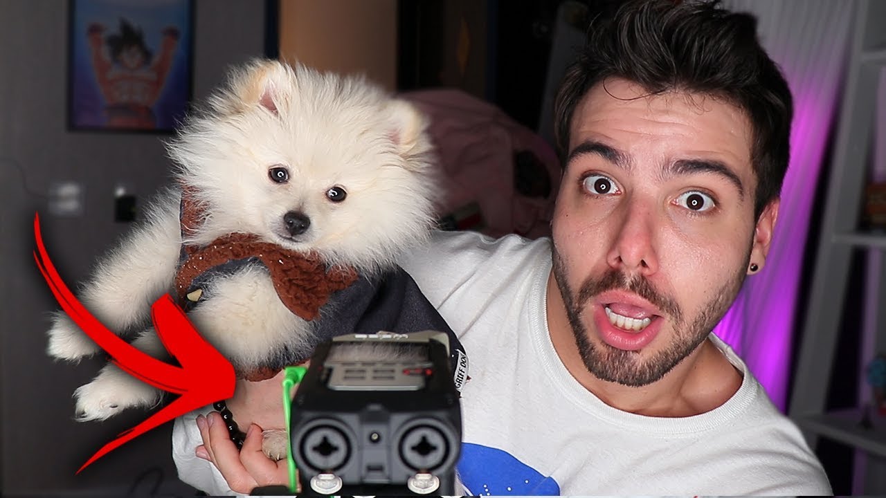 I TRIED TO MAKE AN ASMR VIDEO!!!