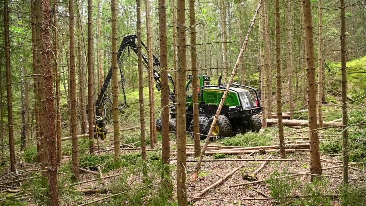 Ö-avverkning Holmen Skog