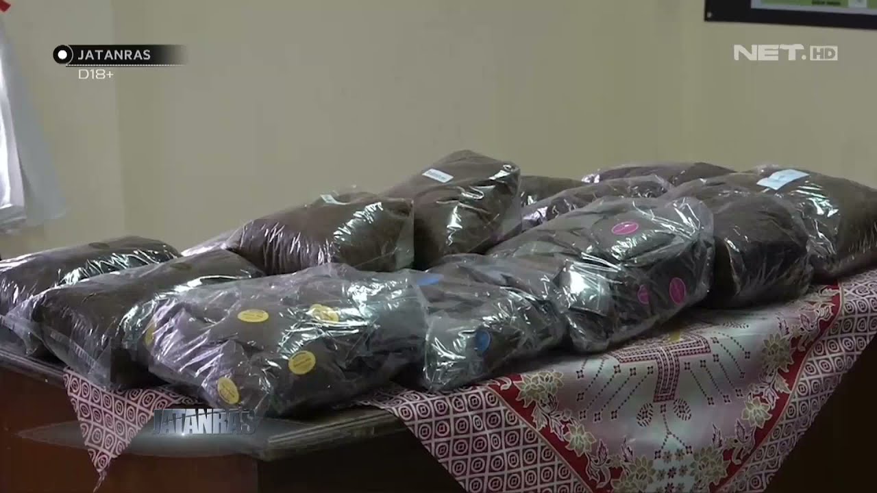 Petugas Kepung Rumah Terduga Produsen Tembakau Sintetis - JATANRAS