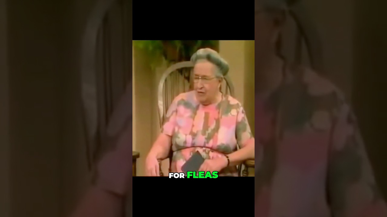 We Must Thank God Even For Fleas | Corrie Ten Boom