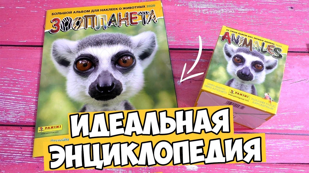 ЭНЦИКЛОПЕДИЯ ОТ PANINI | ЗООПЛАНЕТА Альбом и наклейки