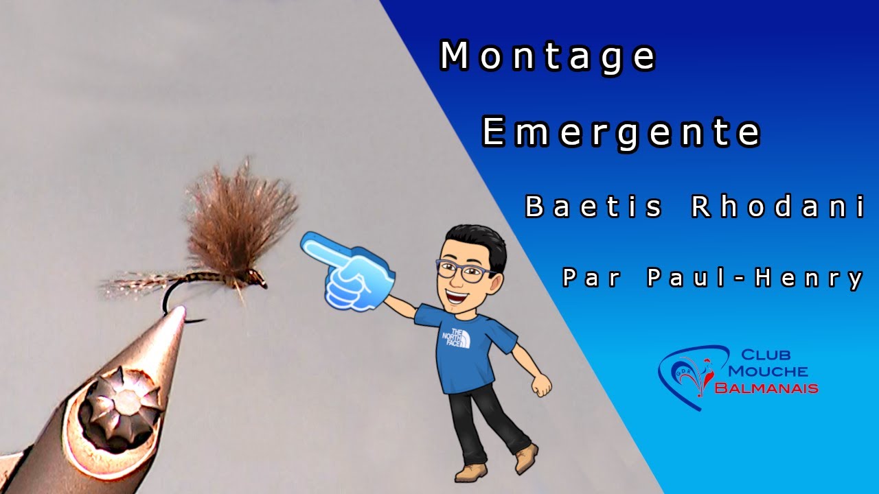 Montage mouche : Émergente de Baetis Rhodani