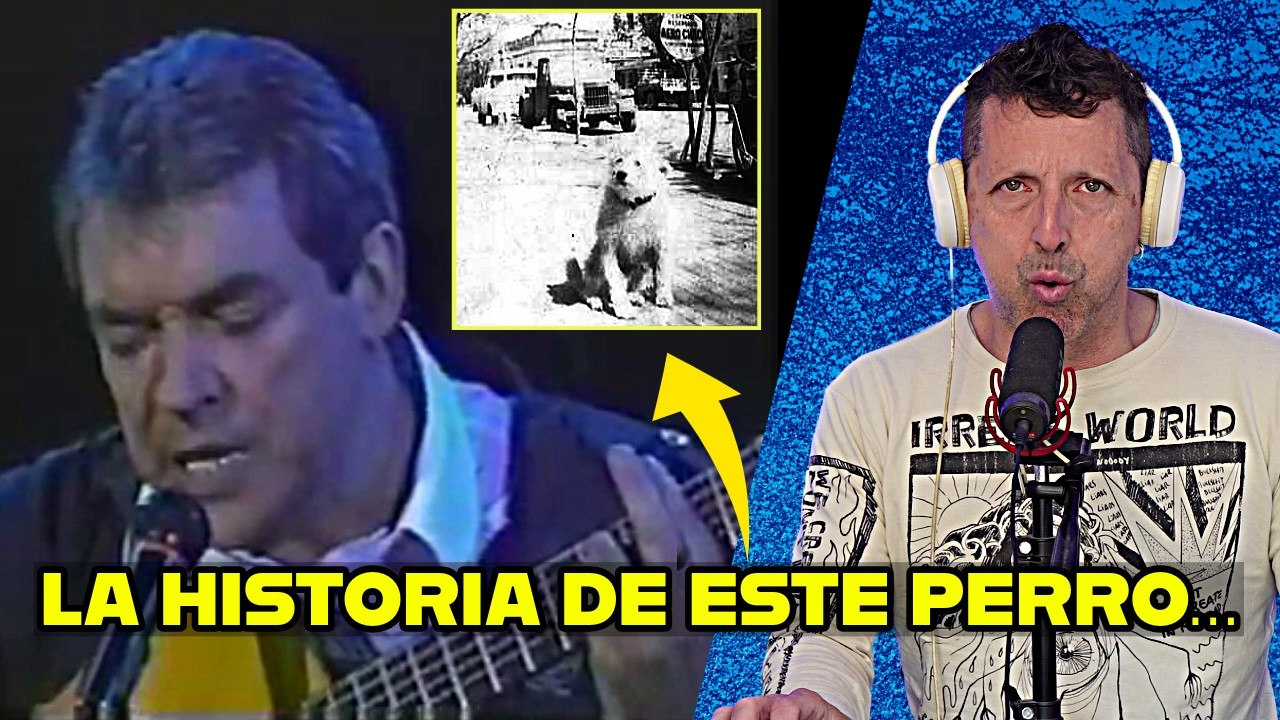 Esta canción de Alberto Cortez me DESTROZÓ… “Callejero” 🐕💔