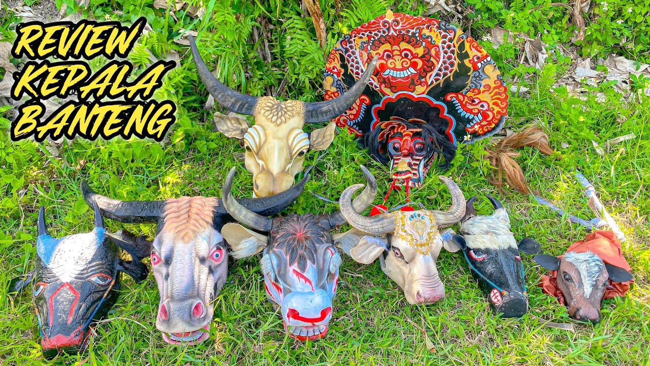 BANYAK KEPALA BANTENG KITA REVIEW 😮🐂‼️ 