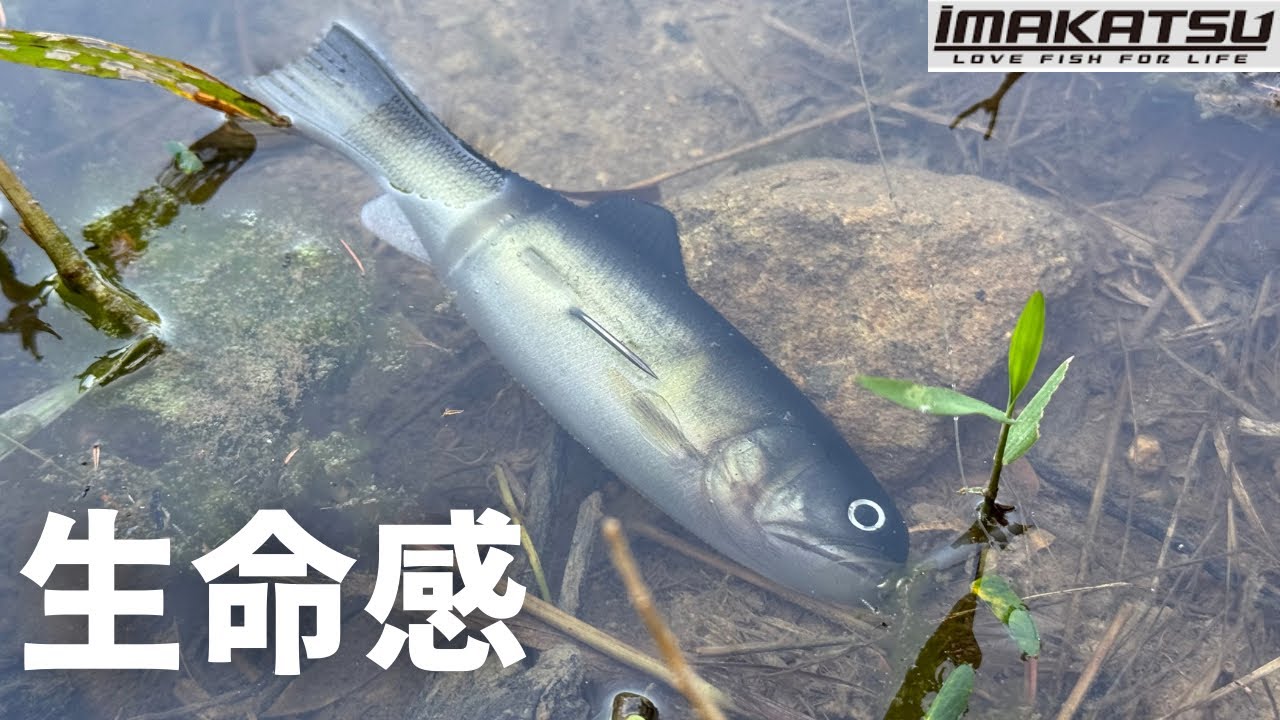 【バス釣り】バスワーム145インプレ！【IMAKATSU】今までに無かったバス型ワームの使い方、おすすめリグ、セッティングを解説！【三原直之】【2025最新ルアー】【スイムベイト】