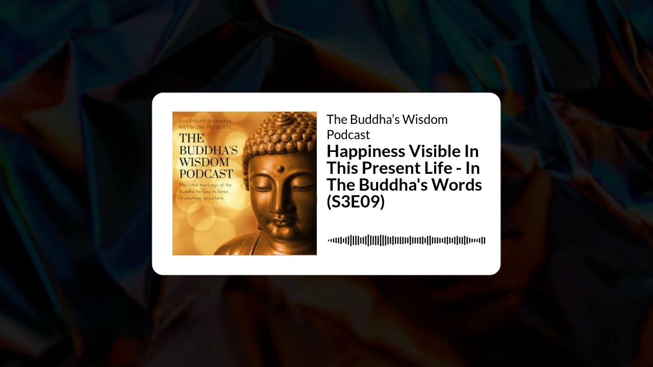 Happiness Visible In This Present Life - In The Buddha's Words (S3E09) | The Buddha’s Wisdom Podcast
