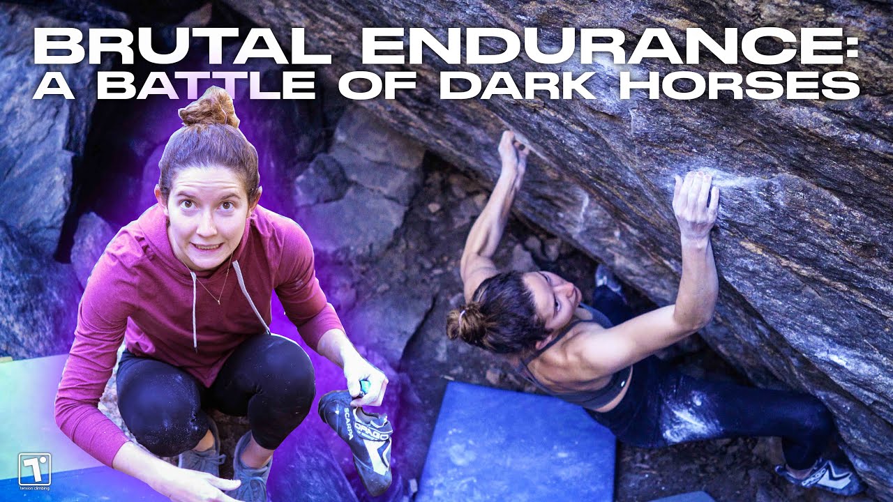 Brutal Endurance: Battle of Dark Horses