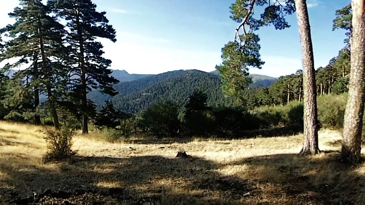 La Granja. Montes de Valsa&iacute;n por caminos casi olvidados.