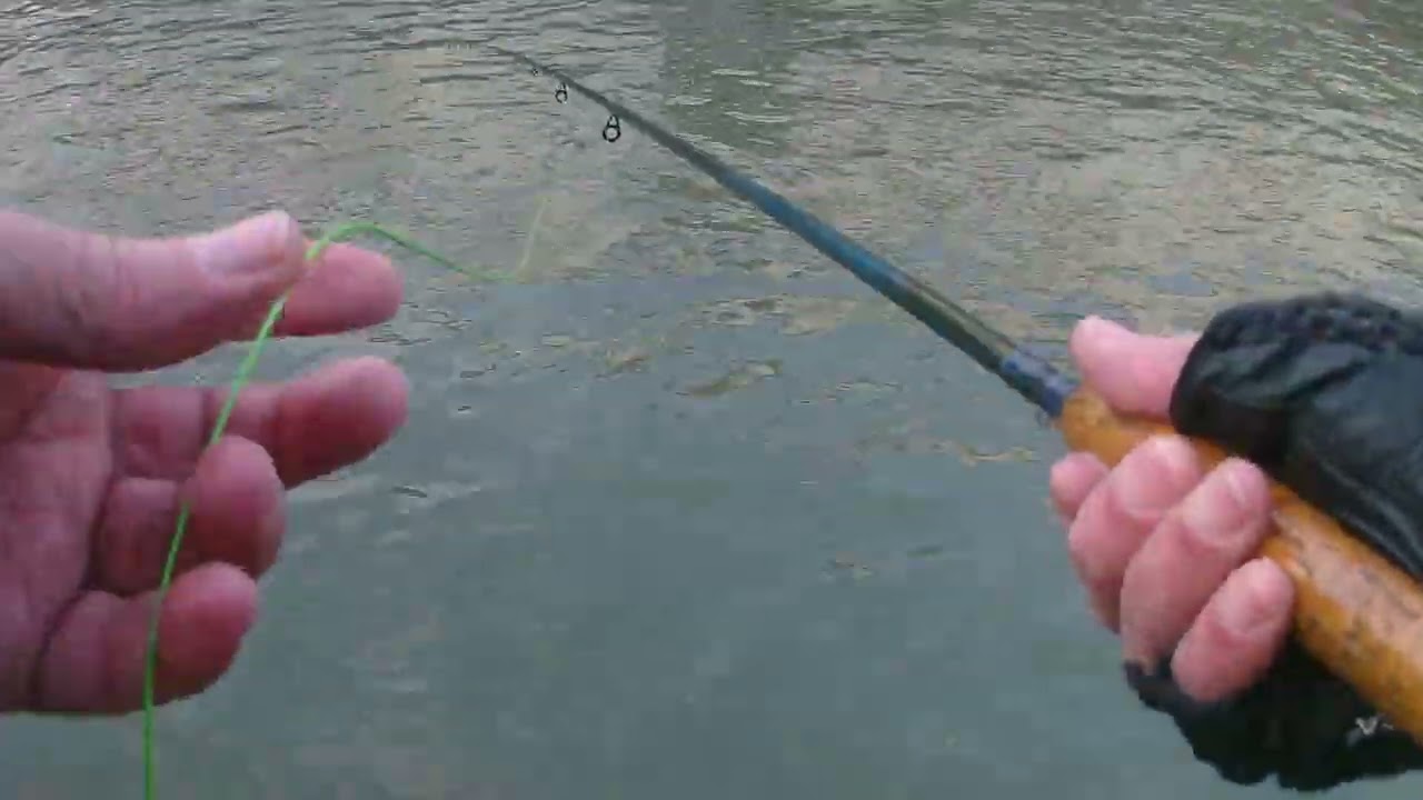 Lundi 26 janvier 2026: pêche à la mouche à la nymphe dans le Sichon  (v2