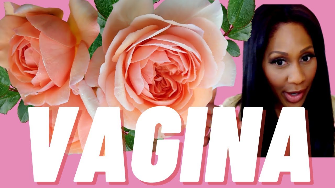 What Happens to Your Vagina As You Age? Doctor Explains
