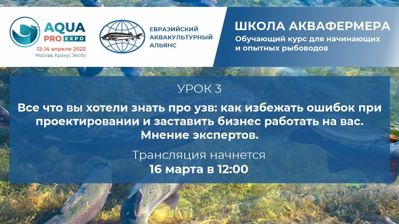 Все что вы хотели знать про УЗВ