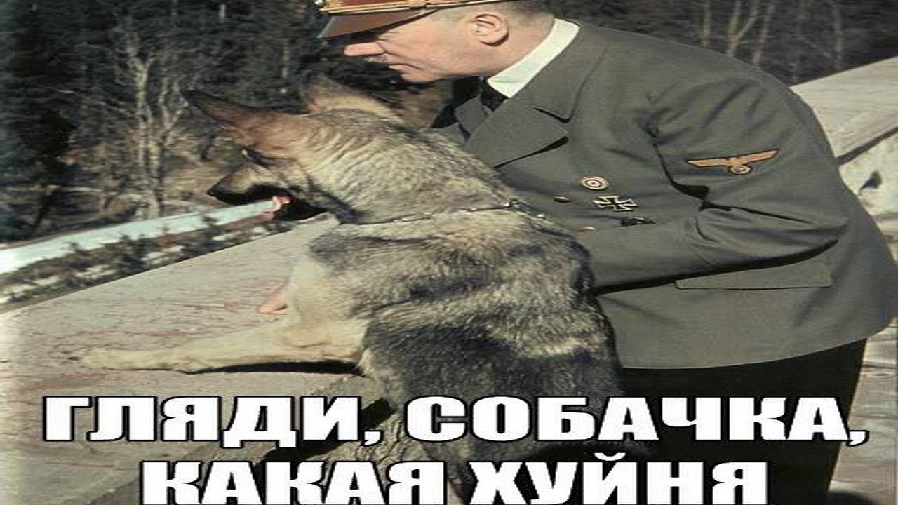 Танковые АБ / War Thunder