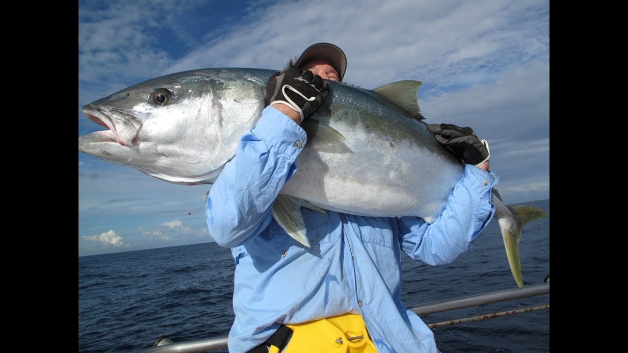 Three Kings, New Zealand - Monster Kingfish, Bass & Broadbill Swordfish aboard Enchanter