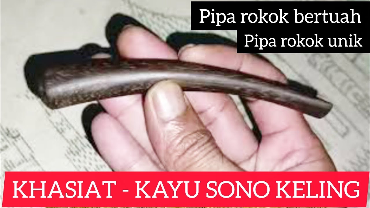 KHASIAT| KAYU SONO KELING (PIPA ROKOK UNIK)⁉️#sedan #inova#mbahklunongofficial