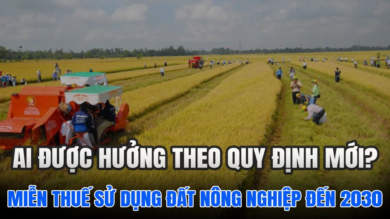 Những Ai Được Miễn 100% Thuế Sử Dụng Đất Nông Nghiệp Từ 2026?
