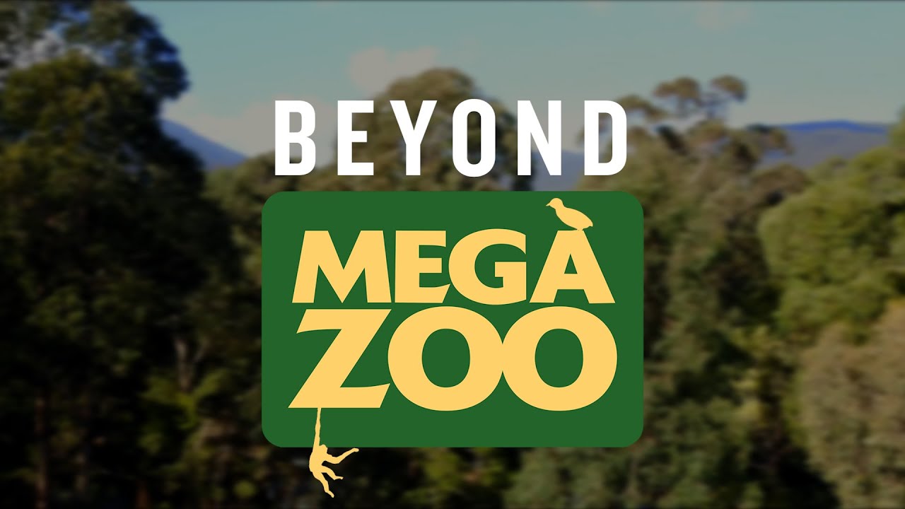 Beyond Mega Zoo - Orange-bellied Parrot