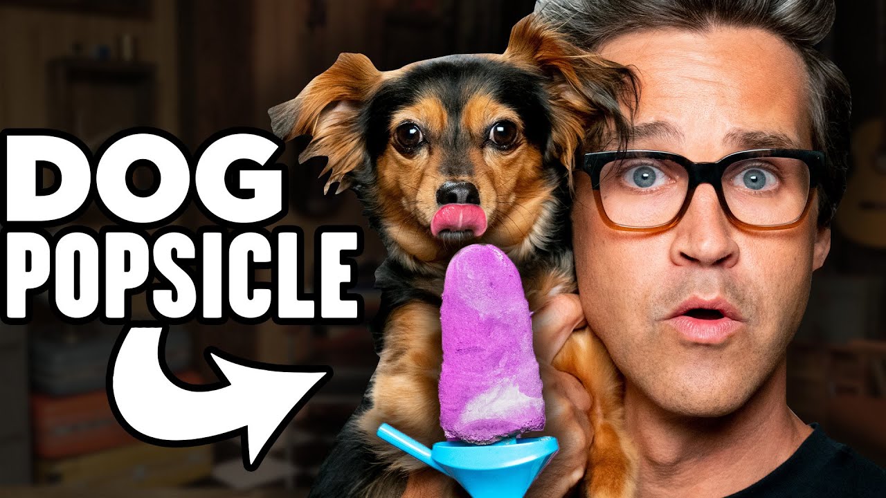 Frozen Dog Treats Taste Test