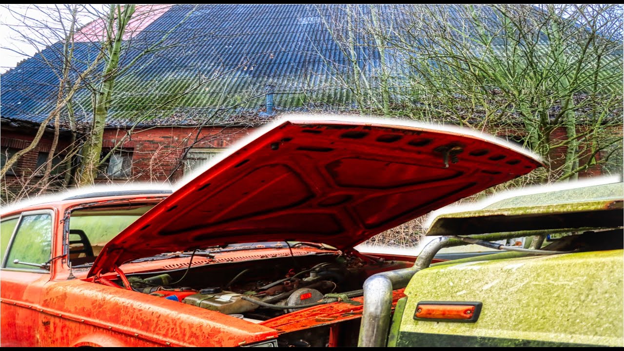 In dieser Baracke stehen dutzende Oldtimer 😮 / Fahrzeugfriedhof Mitten im Nirgendwo/ S07E2