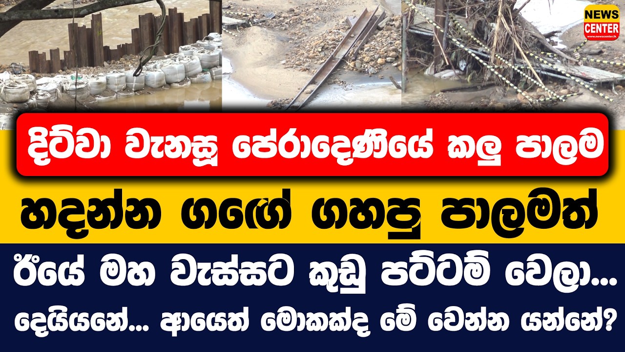 දිට්වා වැනසූ පේරාදෙණියේ කලු පාලම හදන්න ගගේ ගහපු පාලමත් ඊයේ මහ වැස්සට කුඩු පට්ටම් වෙලා...