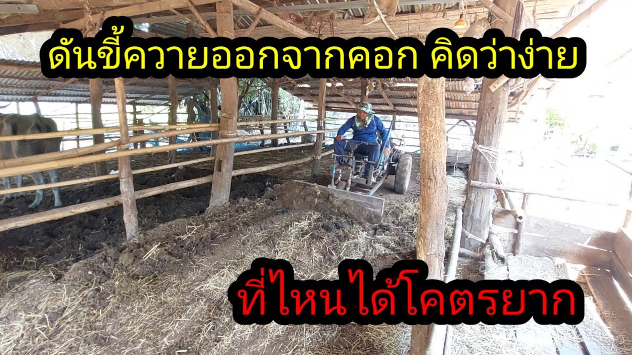 คิดว่ามันจะง่าย ถือว่าเป็นประสบการณ์#จิตอาสา 