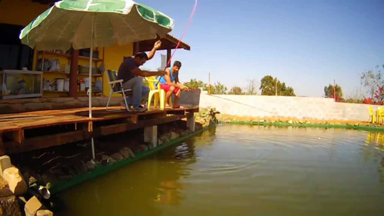 COMO FAZER UM LAGO DE ALVENARIA PARTE FINAL