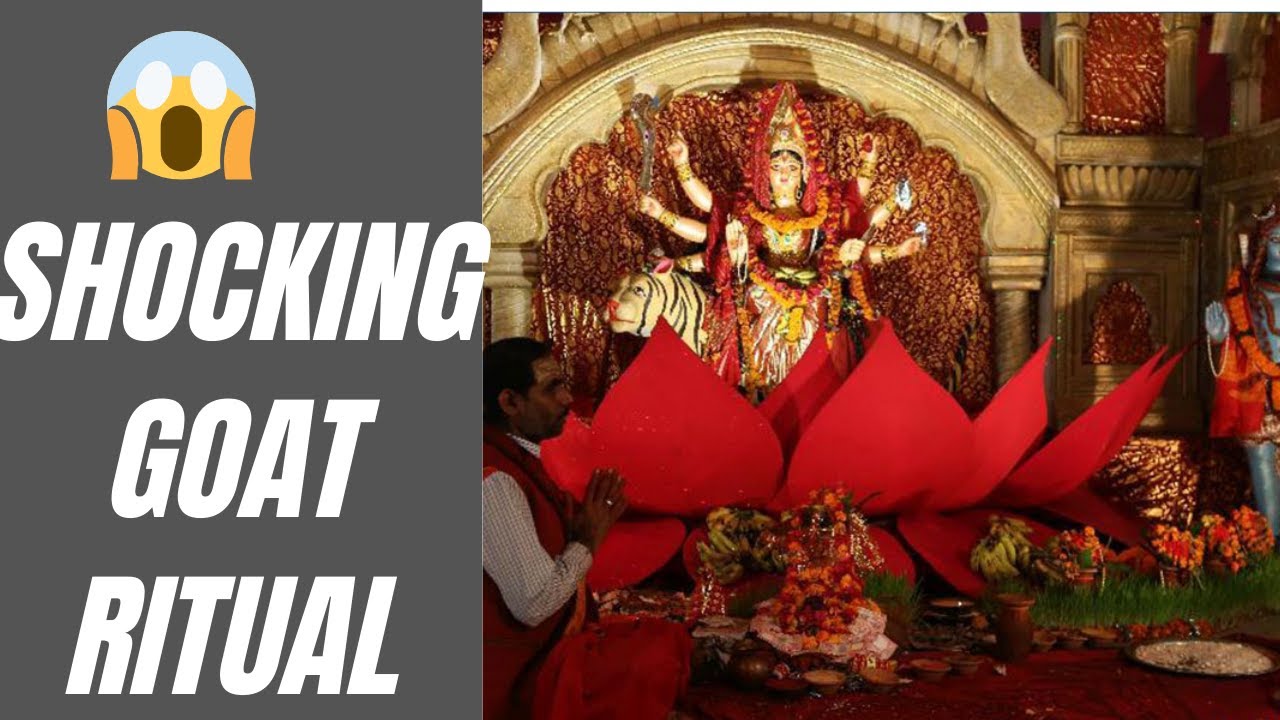 5 Mins Explore: Nepal’s Mysterious Goat Sacrifice Festival 